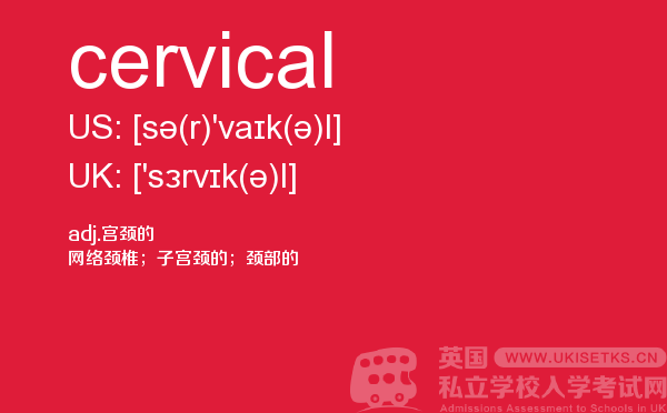 【cervical】 - UKiset备考词汇