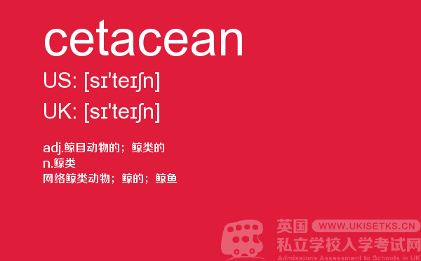 【cetacean】 - UKiset备考词汇