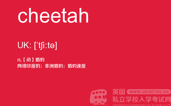 【cheetah】 - UKiset备考词汇