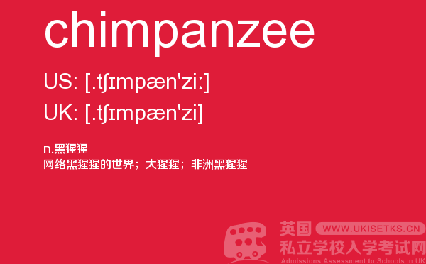 【chimpanzee】 - UKiset备考词汇