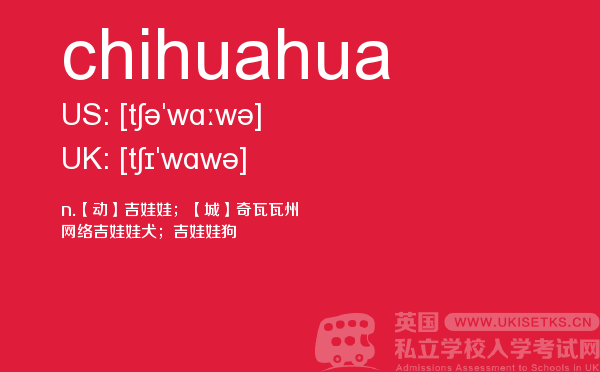 【chihuahua】 - UKiset备考词汇