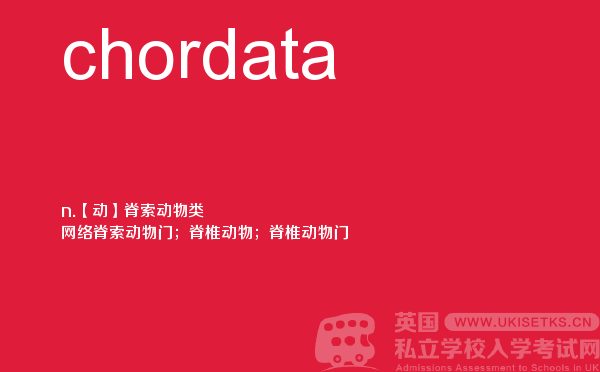【chordata】 - UKiset备考词汇