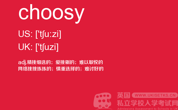 【choosy】 - UKiset备考词汇