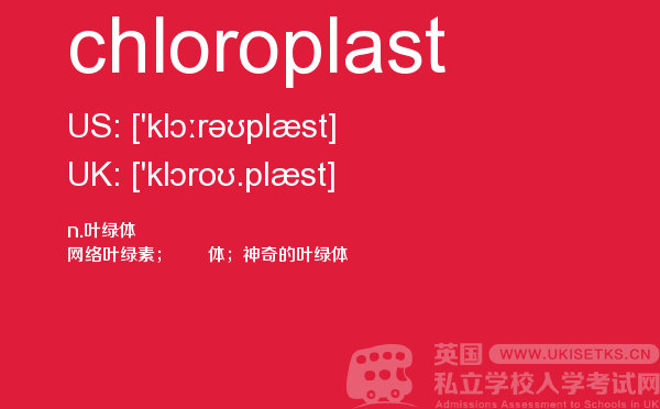 【chloroplast】 - UKiset备考词汇