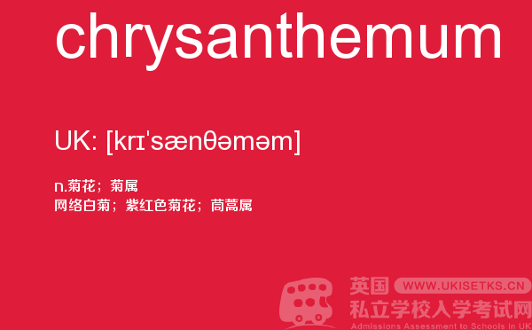 【chrysanthemum】 - UKiset备考词汇