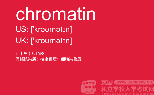 【chromatin】 - UKiset备考词汇