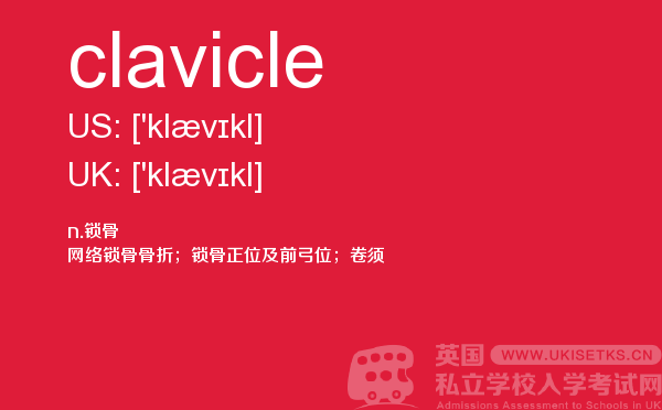 【clavicle】 - UKiset备考词汇