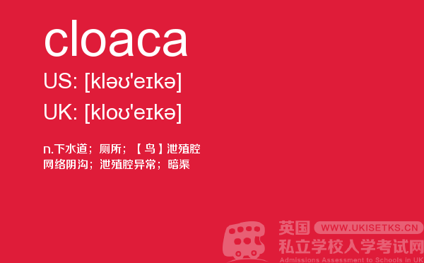 【cloaca】 - UKiset备考词汇