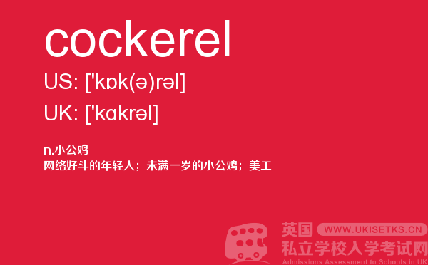 【cockerel】 - UKiset备考词汇