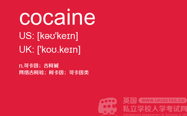 【cocaine】 - UKiset备考词汇