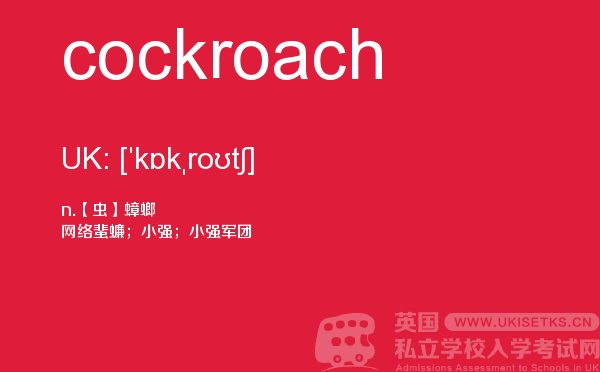 【cockroach】 - UKiset备考词汇