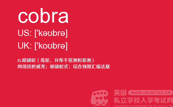 【cobra】 - UKiset备考词汇