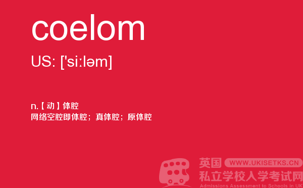 【coelom】 - UKiset备考词汇