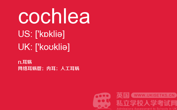 【cochlea】 - UKiset备考词汇