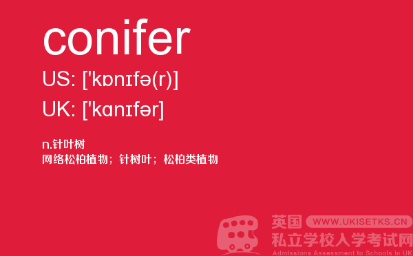 【conifer】 - UKiset备考词汇