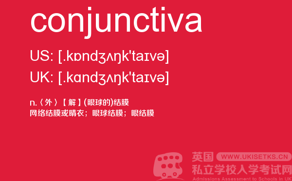 【conjunctiva】 - UKiset备考词汇